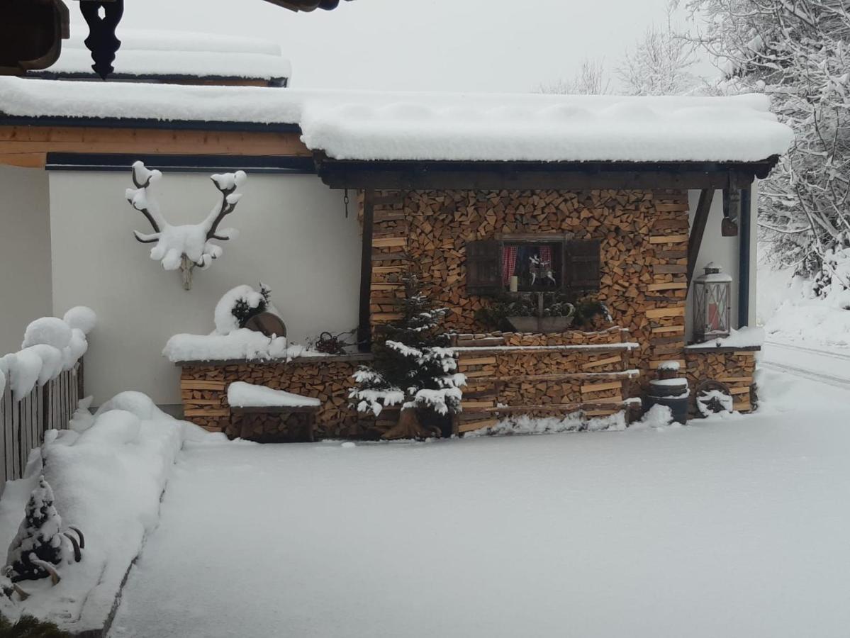 Haus Wildschutz Lägenhet Hippach Exteriör bild