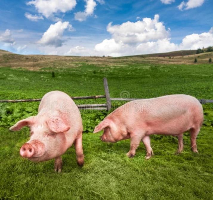 Haus Wildschutz Lägenhet Hippach Exteriör bild