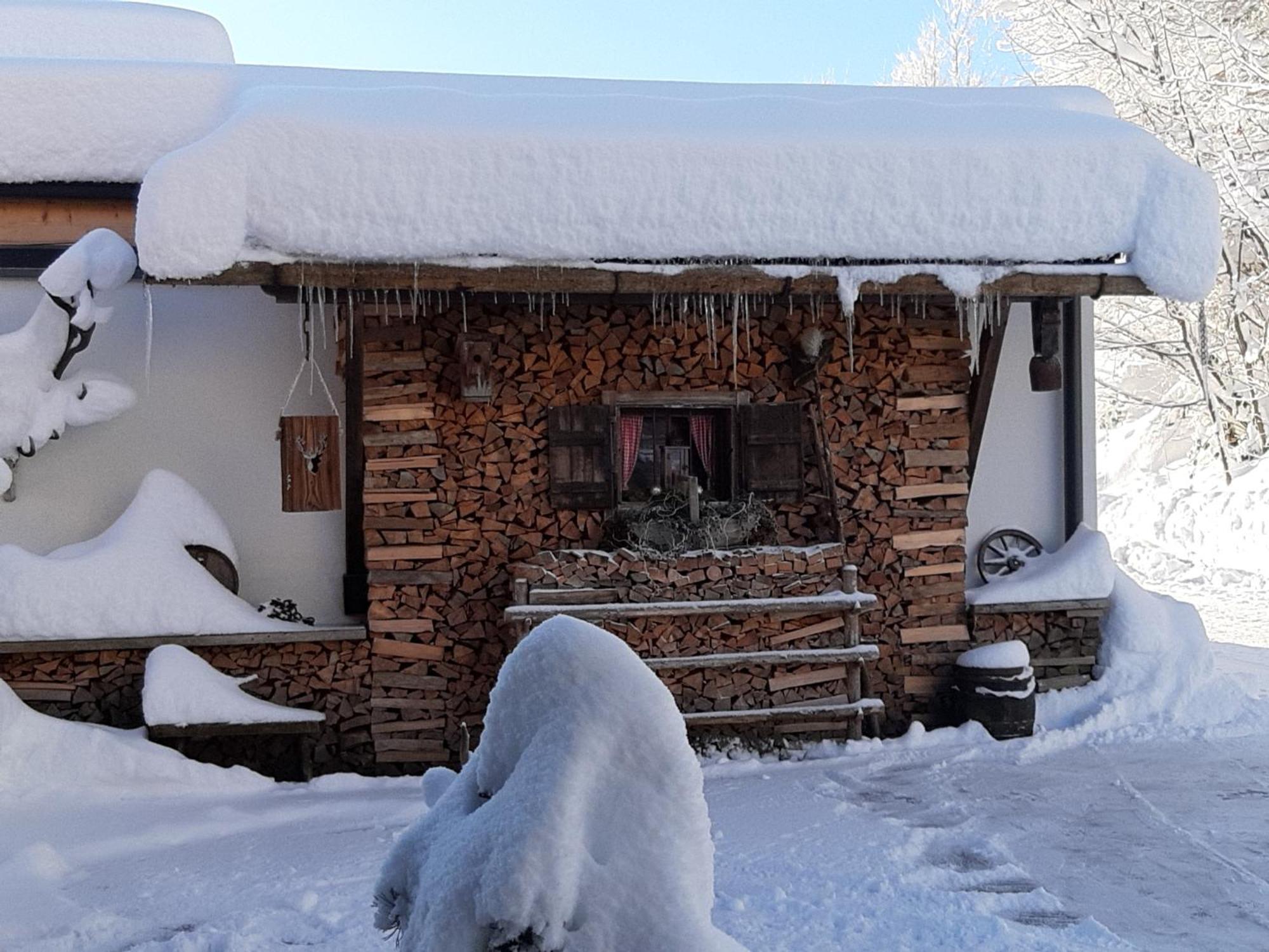 Haus Wildschutz Lägenhet Hippach Exteriör bild