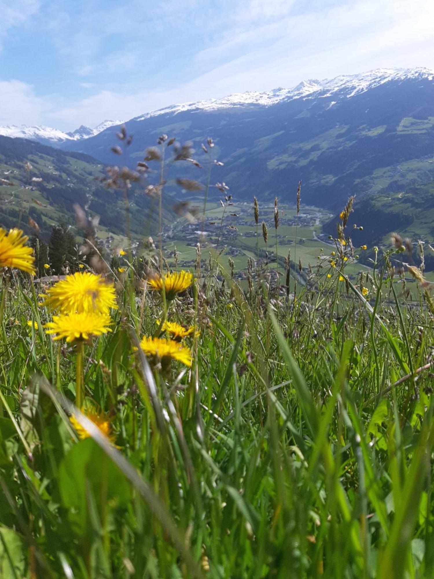 Haus Wildschutz Lägenhet Hippach Exteriör bild